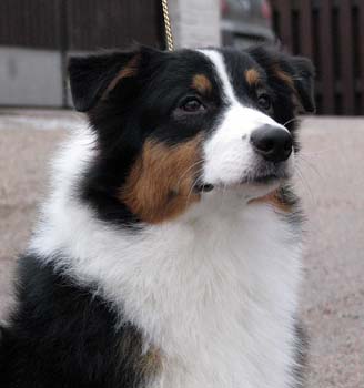 Signe at 7 months6