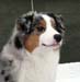 Albin at 7 months5