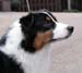 Signe at 7 months5