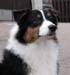 Signe at 7 months6