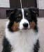 Signe at 7 months8