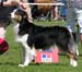 champion bitches EXC1 3rd best bitch res.CACIB Shannon des Chemins Cathares1