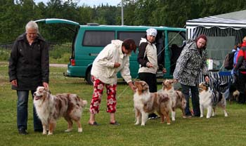 breeders class 1st prize of honour Hazelmoor