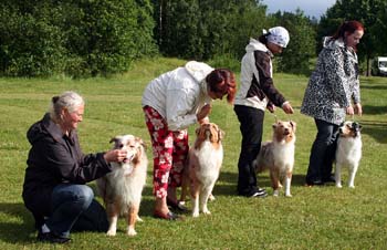 breeders class 1st prize of honour Hazelmoor2