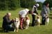 breeders class 1st prize of honour Hazelmoor4