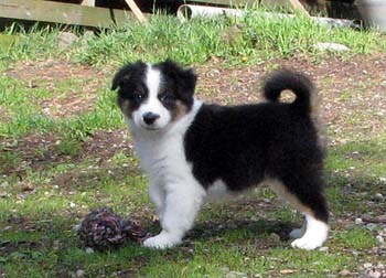 Forevermore at 8 weeks6