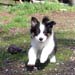 Forevermore at 8 weeks5