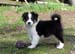 Forevermore at 8 weeks6