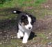 Forevermore at 8 weeks8