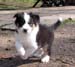 Forevermore at 8 weeks9