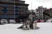 Harstad, dogs in front of our hotel1