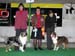 BOS CH Drover's Attent'n Please and BOB Hazelmoor Lookalike Lily