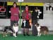BOS CH Drover's Attent'n Please and BOB Hazelmoor Lookalike Lily1