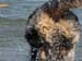 Albin jumps in to the sea 3rd May