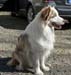 Patu enjoying the spring sun