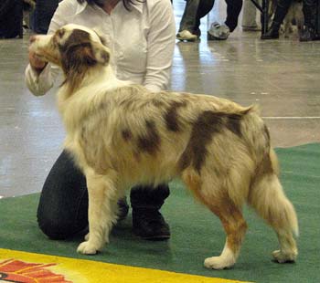 junior bitches G Easy Glory of Love1