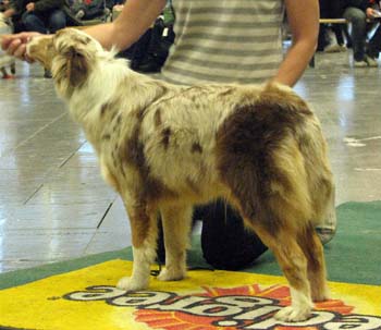 junior bitches G Easy Guess Who