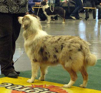 junior bitches VG2 Easy Glamour On Tour