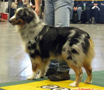 junior males EXC1, NORDJW-07 Mandolyn's Acoustic Guitar2