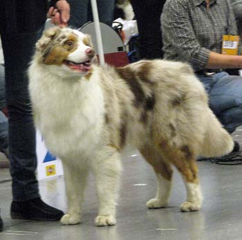 junior males VG3 Easy Going To The Top2