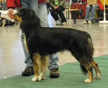 open bitches F Blue Sunnycreek's Cafe de Paris