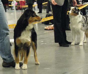 open bitches, the two entered