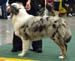junior males EXC2 Tres Colores Hiawatha Mohawk