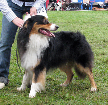 intermediate male VG4 Emil Ertekrok av New Thinking
