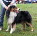 intermediate male VG4 Emil Ertekrok av New Thinking