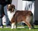 intermediate males EXC1 4th best male Onedis Dexter