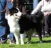intermediate males VG2 Easy Jippi Kay Ye