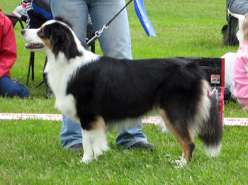 Best Bitch 2 Difloyds Wildcat