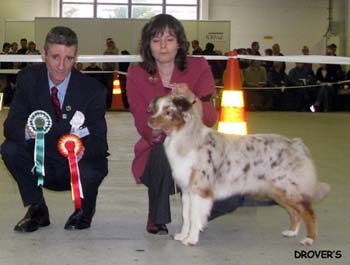 BOB Drover's Crown Jewel