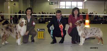 BOS Beauwood Karelian Bear and BOB Drover's Crown Jewel