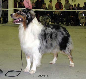 champion males VG4 Ossequente Umbro Ragazzo