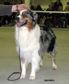 champion males VG4 Ossequente Umbro Ragazzo1