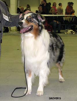 champion males VG4 Ossequente Umbro Ragazzo2