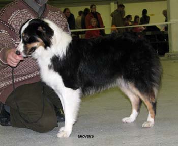 junior bitches VG4 Ossequente Bambola1