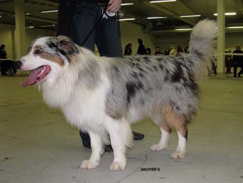 junior males EXC1 Aamuruskon Tähdenlento