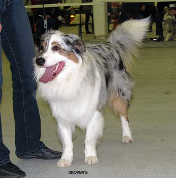 junior males EXC1 Aamuruskon Tähdenlento2