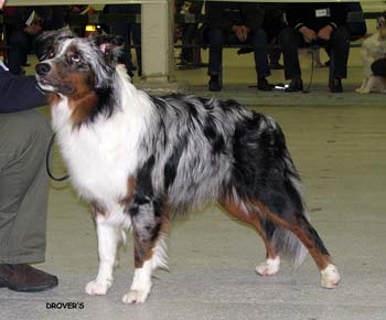 junior males G Bywater Dankayo1