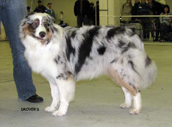 junior males VG2 Ossequente Buffo