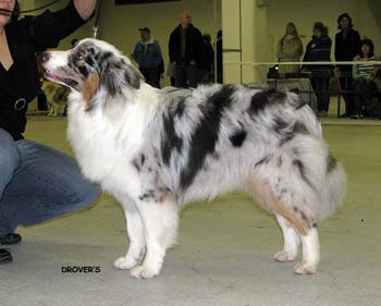 junior males VG2 Ossequente Buffo2