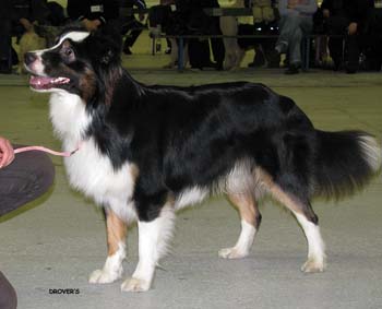 junior males VG3 Aamuruskon Pimeyden Haltia