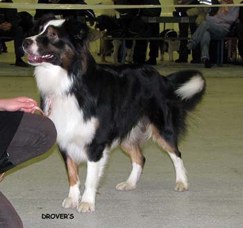 junior males VG3 Aamuruskon Pimeyden Haltia1