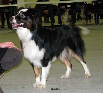 junior males VG3 Aamuruskon Pimeyden Haltia2