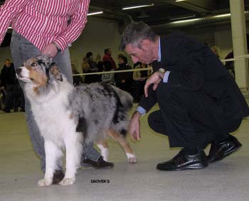 open bitches  G Furdie's Enliven Himmi and the judge