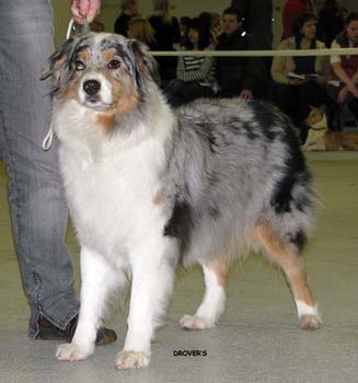 open bitches  G Furdie's Enliven Himmi2