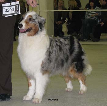 open bitches EXC2 Energie's V.I.P. Energie