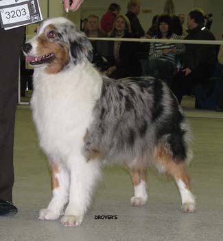 open bitches EXC2 Energie's V.I.P. Energie1